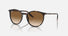 RB2204 / Polished Havana/Light Brown(902/51) / 51-20-145