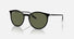 RB2204 / Polished Black On Transparent/Green Polarized(919/58) / 51-20-145