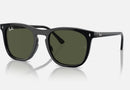 RB2210 / Polished Black/Green(901/31) / 53-21-145