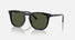 RB2210 / Polished Black/Green(901/31) / 53-21-145