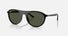 RB2215 / Polished Black/Green(901/31) / 56-20-145