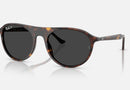 RB2215 / Polished Havana/Black Polarized(902/48) / 56-20-145
