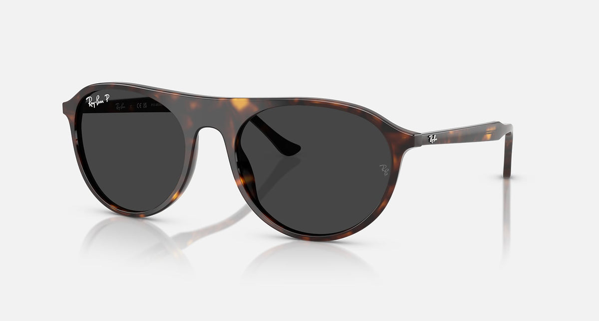 RB2215 / Polished Havana/Black Polarized(902/48) / 56-20-145