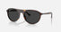 RB2215 / Polished Havana/Black Polarized(902/48) / 56-20-145