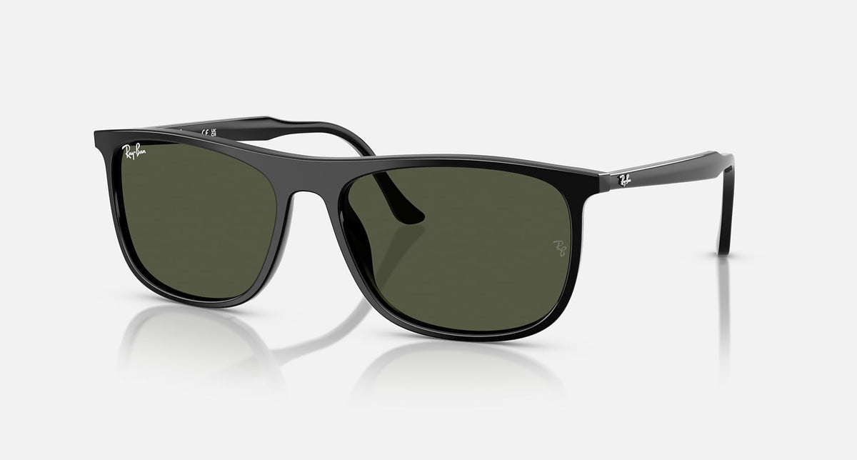 RB2216 / Polished Black/Green(901/31) / 58-18-145