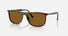 RB2216 / Polished Havana/B-15 Brown(902/33) / 58-18-145