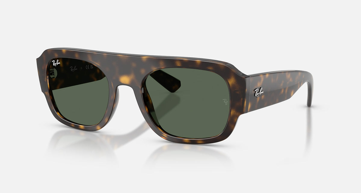 RB2218 / Polished Havana/Green(679071) / 55-22-145