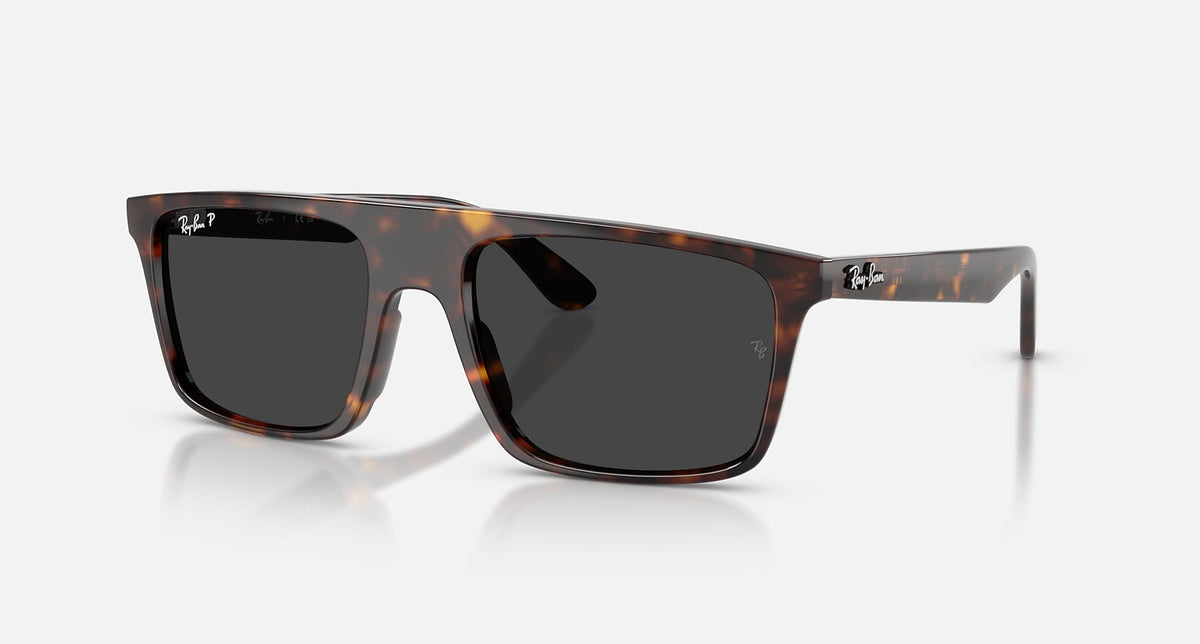 RB2222 / Polished Havana/Black Polarized(902/48) / 55-20-145