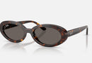 RB2223 / Polished Havana/Dark Grey(902/B1) / 54-19-145