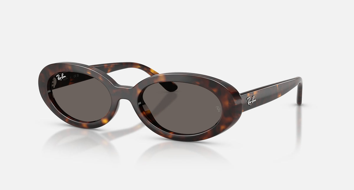 RB2223 / Polished Havana/Dark Grey(902/B1) / 54-19-145