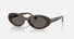 RB2223 / Polished Havana/Dark Grey(902/B1) / 54-19-145