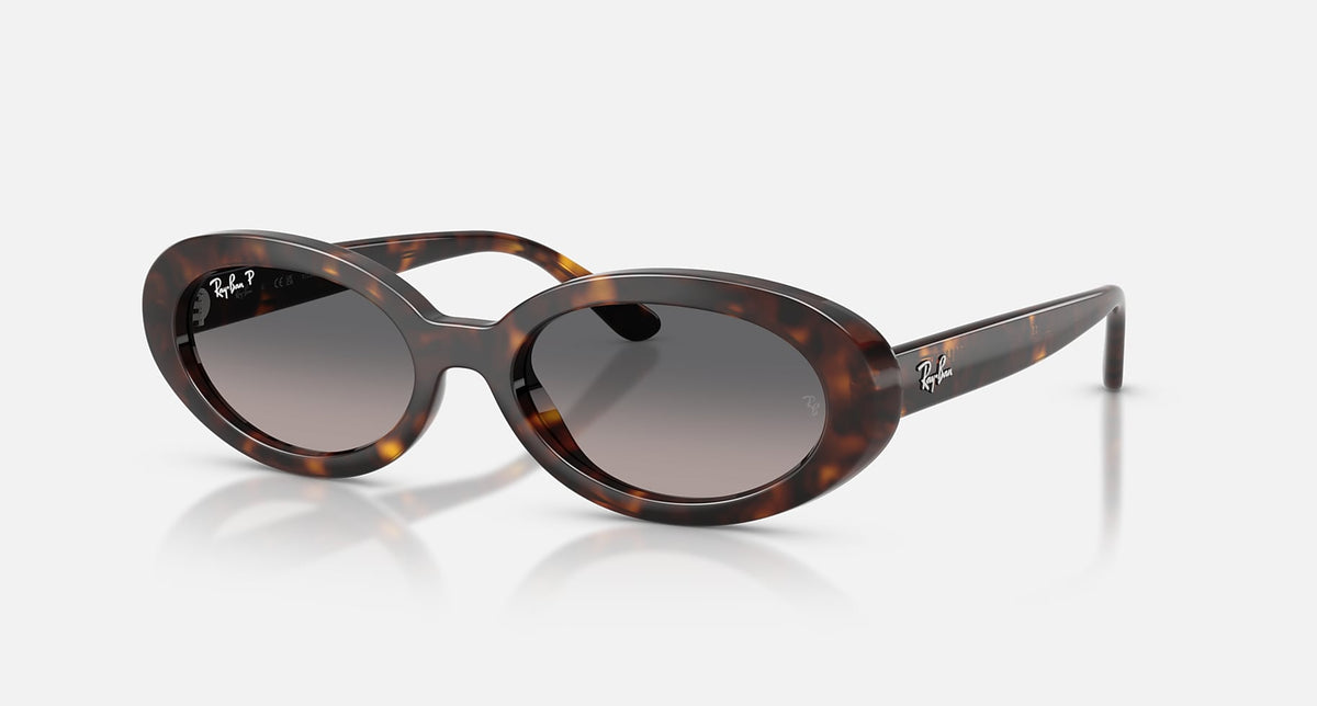RB2223 / Polished Havana/Grey Gradient Polarized(902/M3) / 54-19-145