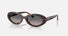 RB2223 / Polished Havana/Grey Gradient Polarized(902/M3) / 54-19-145
