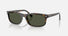 RB2224 / Polished Havana/Green(710/31) / 57-20-145