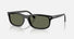 RB2224 / Polished Black/Green Polarized(901/58) / 57-20-145