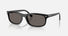 RB2224 / Polished Black/Dark Grey(901/B1) / 57-20-145