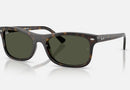 RB2226 / Polished Havana/Green(710/31) / 54-20-145