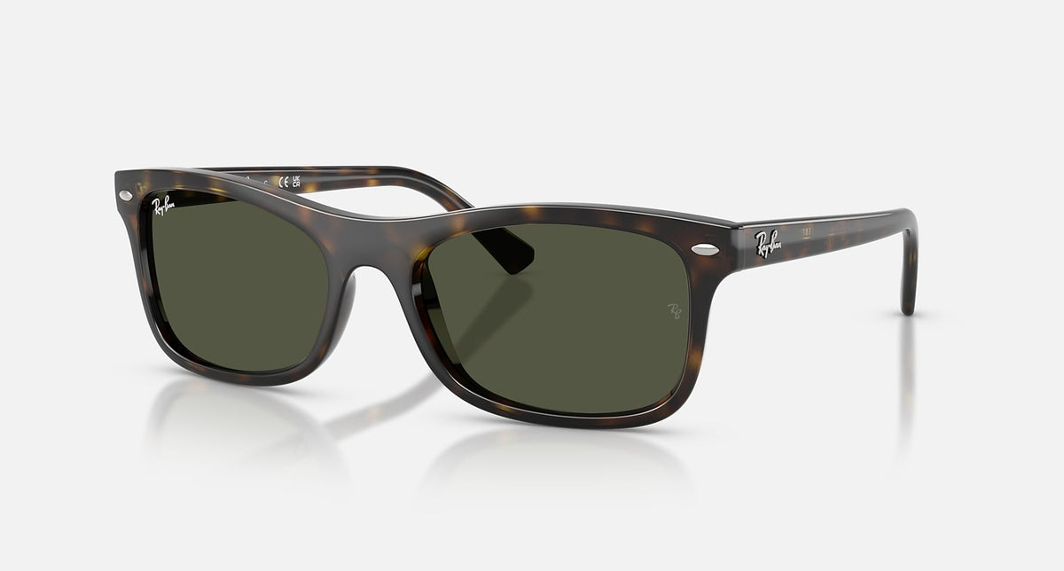 RB2226 / Polished Havana/Green(710/31) / 54-20-145