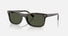 RB2226 / Polished Havana/Green(710/31) / 54-20-145
