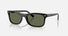 RB2226 / Polished Black/Green Polarized(901/58) / 54-20-145