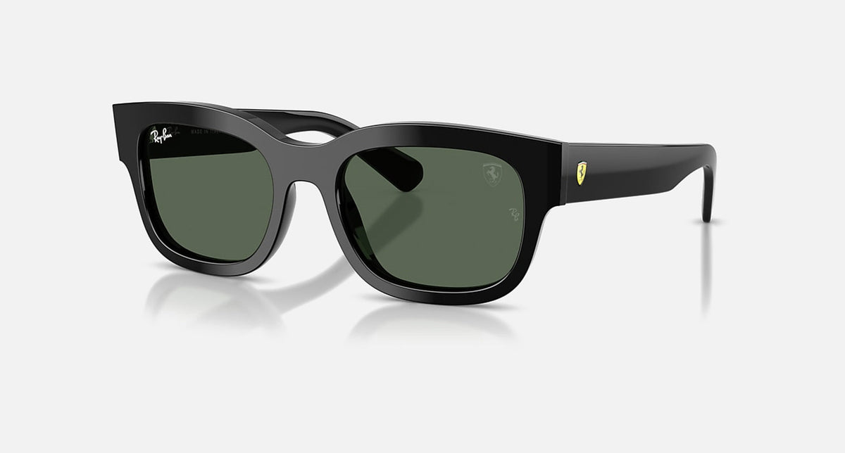 0RB2228M / Polished Black(F60171) / 53-19-145