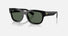 0RB2228M / Polished Black(F60171) / 53-19-145