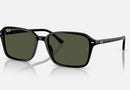 RB2231 / Polished Black/G-15 Green(901/31) / 56-18-145