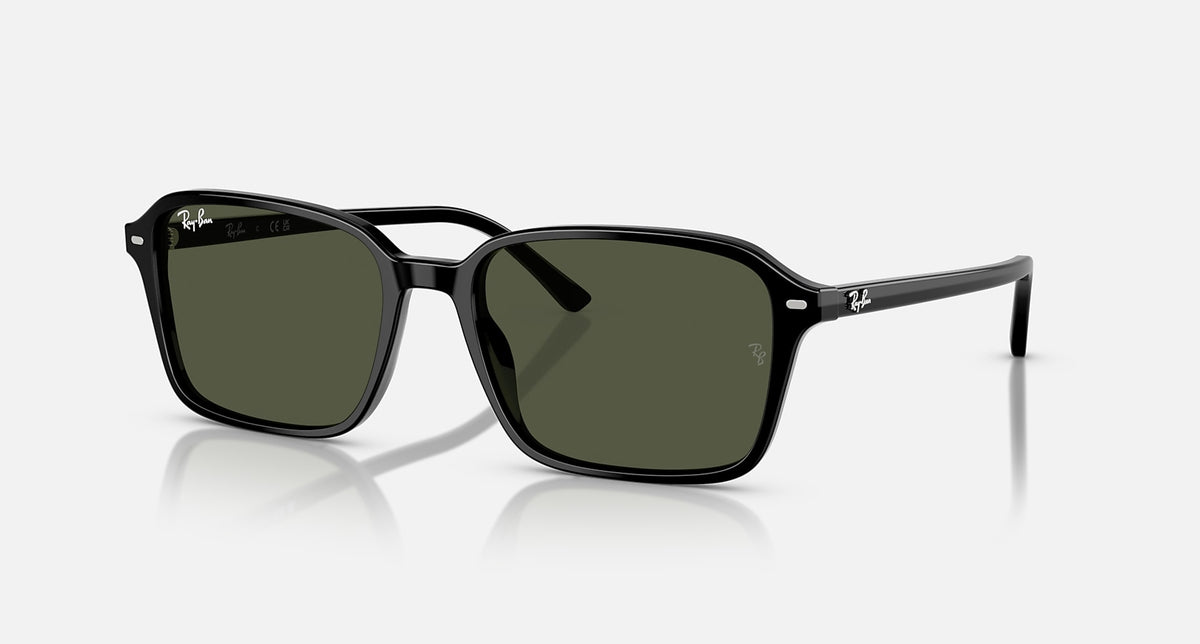 RB2231 / Polished Black/G-15 Green(901/31) / 56-18-145