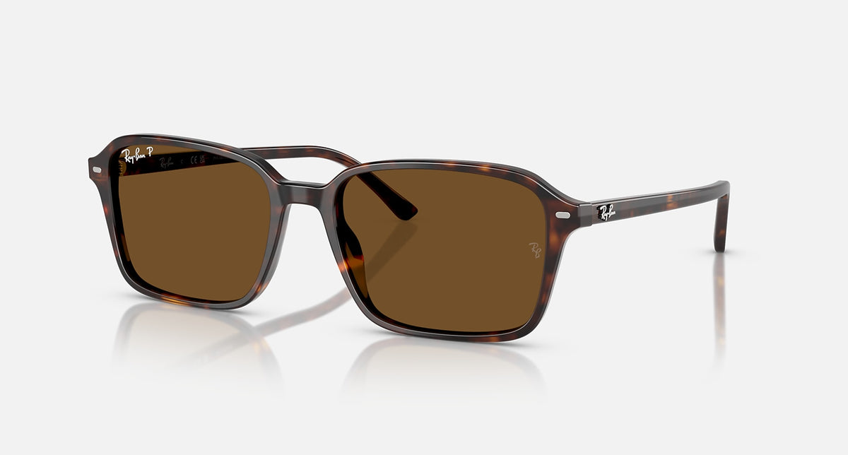 RB2231 / Polished Havana/B-15 Brown Polarized(902/57) / 56-18-145