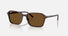 RB2231 / Polished Havana/B-15 Brown Polarized(902/57) / 56-18-145