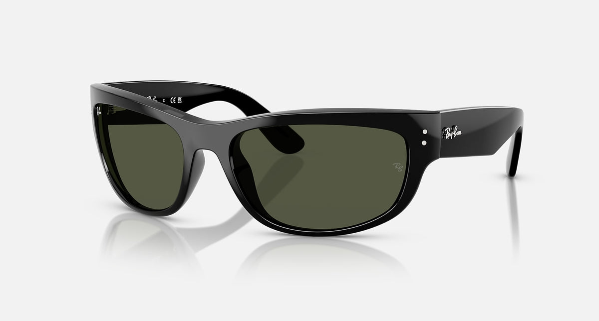 RB2289 / Polished Black/G-15 Green(901/31) / 63-19-135