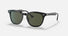 RB2298 / Polished Black/G-15 Green(901/31) / 52-21-145