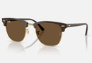 RB3016 / Polished Brown & Gold/Dark Brown(687853) / 51-21-145