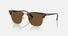 RB3016 / Polished Brown & Gold/Dark Brown(687853) / 51-21-145