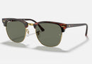RB3016 / Polished Tortoise On Gold/G-15 Green Polarized(990/58) / 51-21-145