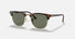 RB3016 / Polished Tortoise On Gold/G-15 Green Polarized(990/58) / 51-21-145