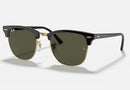 RB3016 / Polished Black On Gold/G-15 Green(W0365) / 51-21-145
