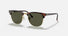 RB3016 / Polished Tortoise On Gold/G-15 Green(W0366) / 51-21-145