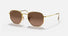 RB3548N / Polished Arista Gold/Brown(9124/43) / 51-21-145
