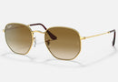 RB3548 / Polished Arista Gold/Light Brown Gradient(001/51) / 51-21-145