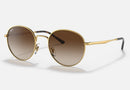 RB3681 / Polished Arista Gold/Brown Gradient(001/13) / 50-20-145