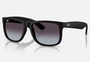 RB4165 / Rubber Black/Dark Grey(601/8G) / 54-16-145