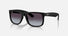RB4165 / Rubber Black/Dark Grey(601/8G) / 54-16-145