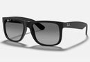 RB4165 / Rubber Black/Light Grey Polarized(622/T3) / 54-16-145