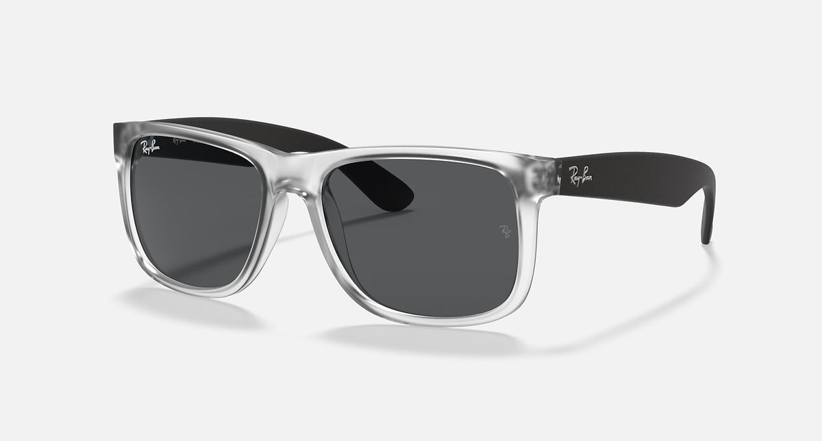 RB4165 / Matte Transparent/Grey(651287) / 54-16-145