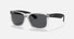 RB4165 / Matte Transparent/Grey(651287) / 54-16-145