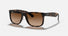 RB4165 / Polished Havana/Dark Brown(710/13) / 54-16-145