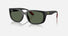 0RB4443M / Matte Black(F60271) / 57-19-145