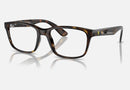 0RX7221M / Polished Havana(F686) / 54-18-145
