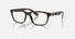 0RX7221M / Polished Havana(F686) / 54-18-145